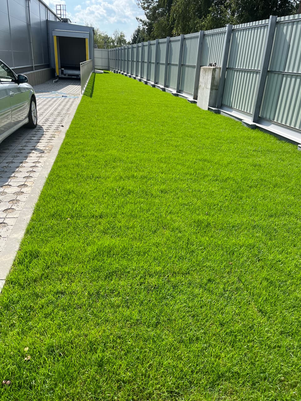 Zakładanie tarwników